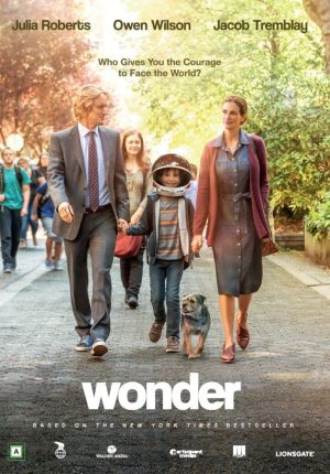 WONDER WONDER